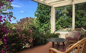Tasman Farmstay Retreat Glenmhor
