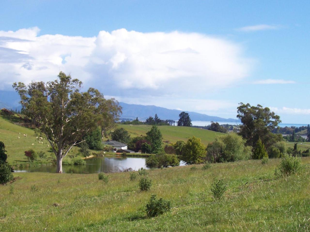 Tasman Farmstay Retreat Glenmhor Exterior photo