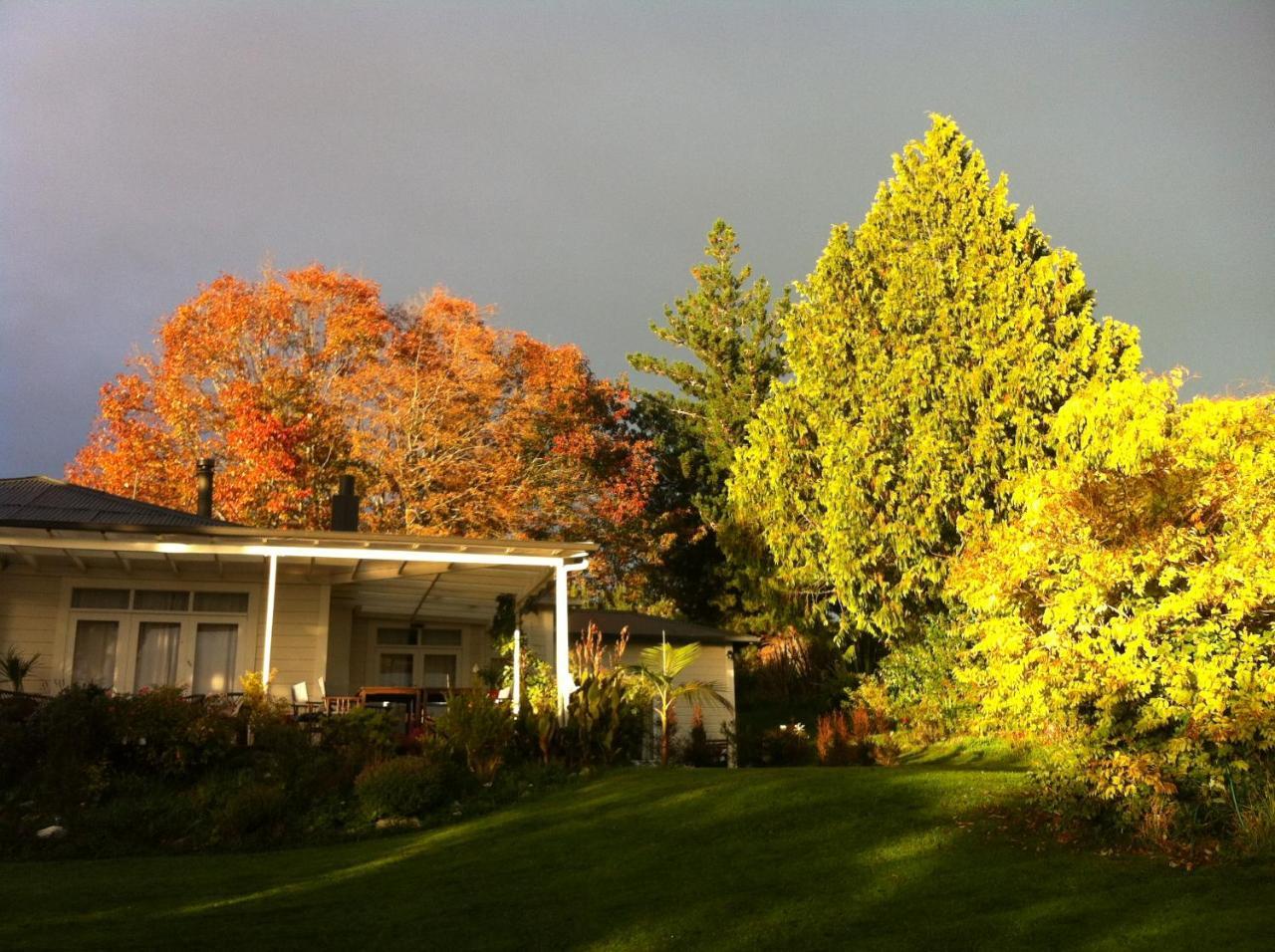 Tasman Farmstay Retreat Glenmhor Exterior photo