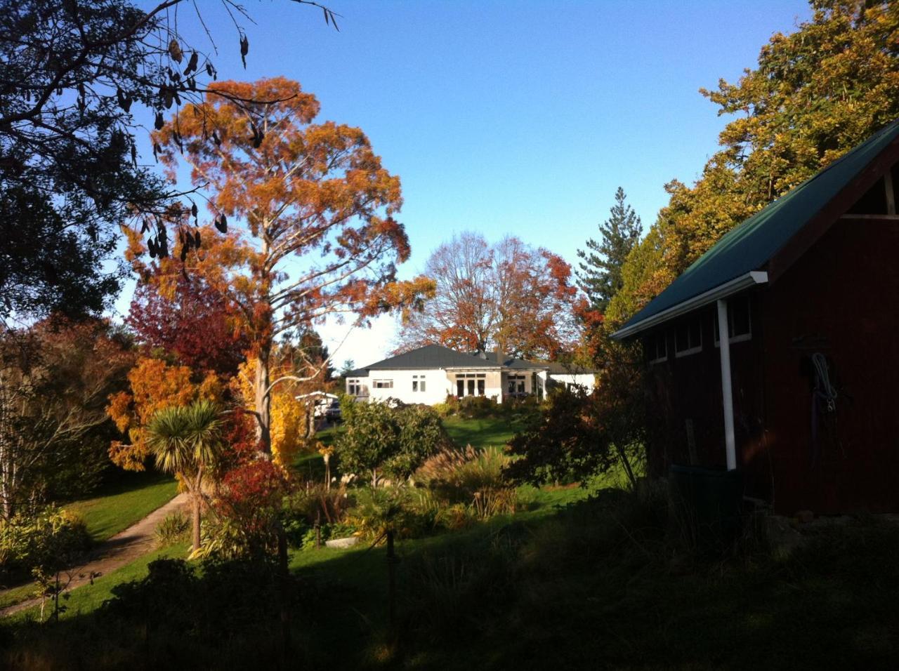 Tasman Farmstay Retreat Glenmhor Exterior photo